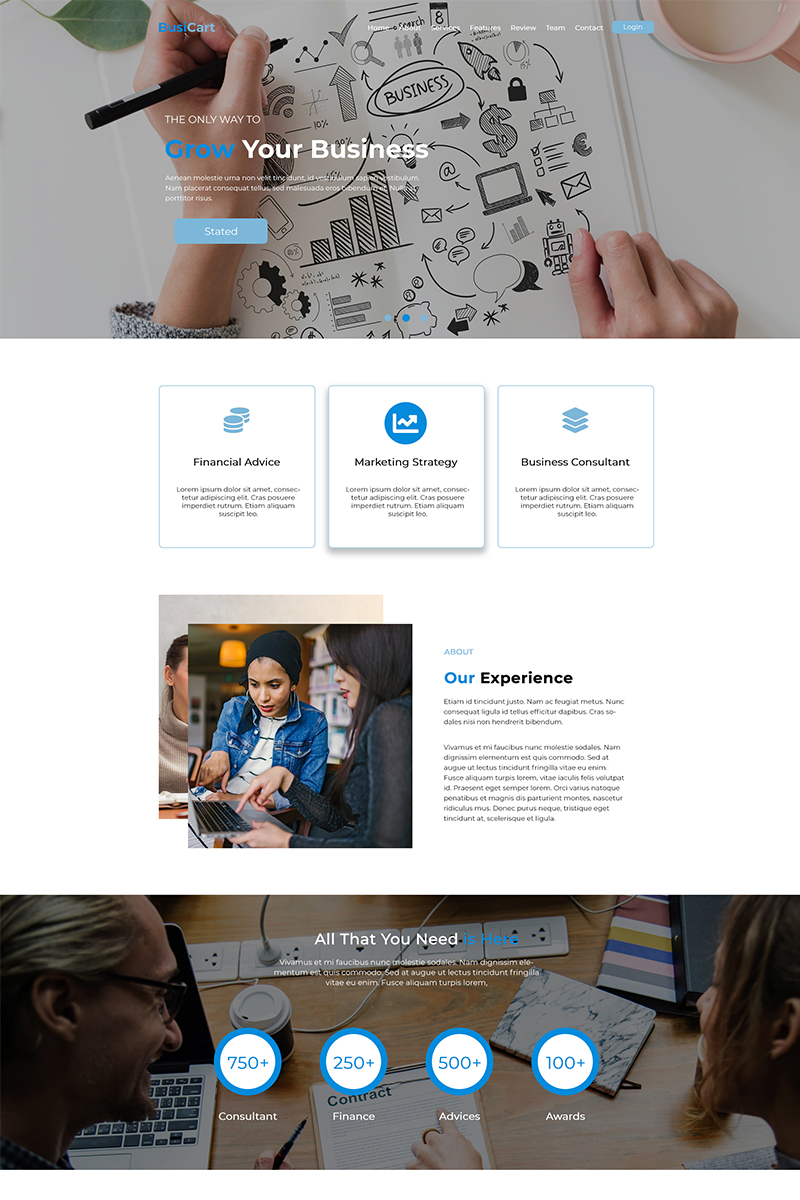 BusiCart - Finance / Consultancy Business PSD-sjabloon