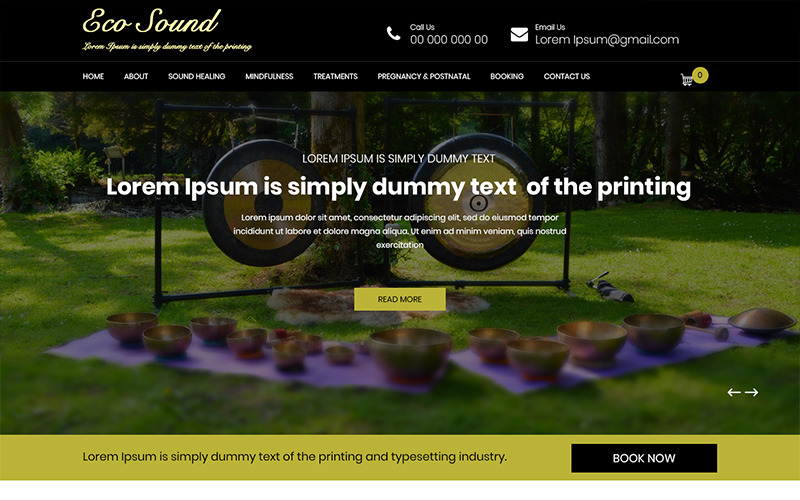 Eco Sound - Sound Therapy PSD Template