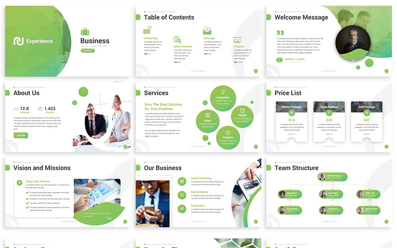 Experience - Business PowerPoint template PowerPoint Template