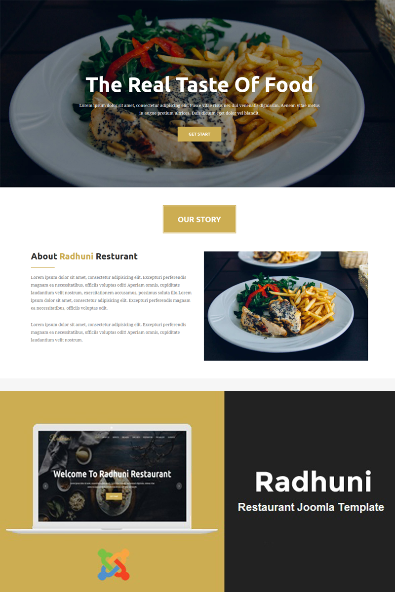 "Radhuni - Multipurpose Business" thème Joomla adaptatif #81915