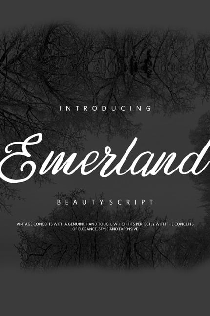 Template #82402 Lettering Calligraphy Webdesign Template - Logo template Preview