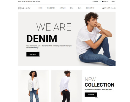 Salley - Jeans Store Clean Shopify Theme