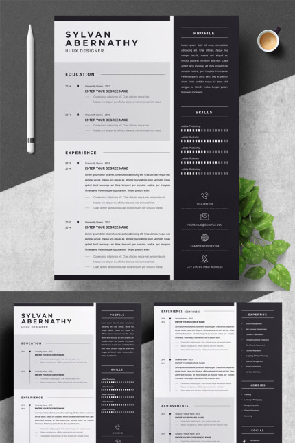 Template #84408 Page Resume Webdesign Template - Logo template Preview