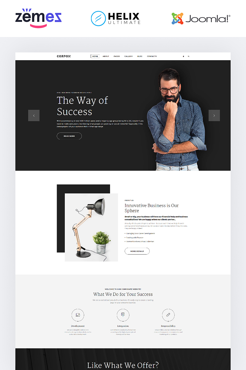 Joomla Vorlage namens "Copron - Financial Advisor Multipage Corporate" #85106 - Screenshot