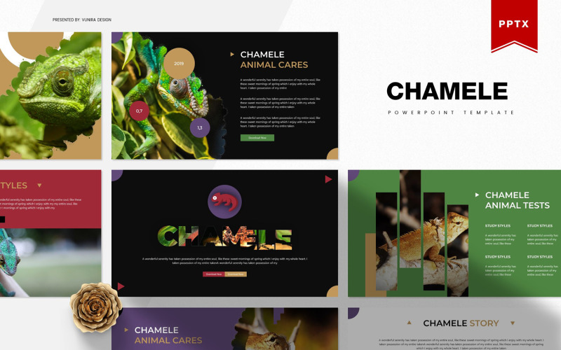 Chamele | PowerPoint template PowerPoint Template