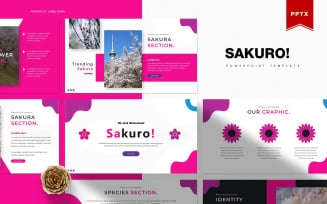 Sakuro! | PowerPoint template