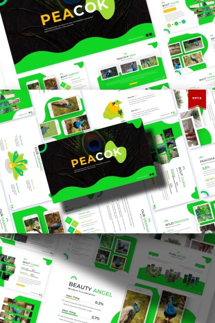 Template #85871 Bird Beautiful Webdesign Template - Logo template Preview