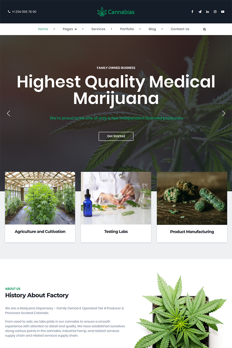 "Cannabias medical marijuana business" thème WordPress adaptatif #86132