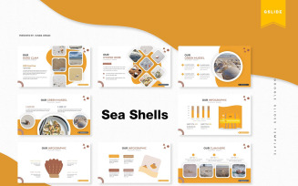 Sea Shells | Google Slides