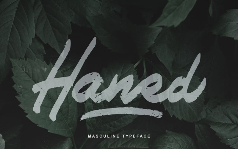 Haned | Masculine Typeface Font
