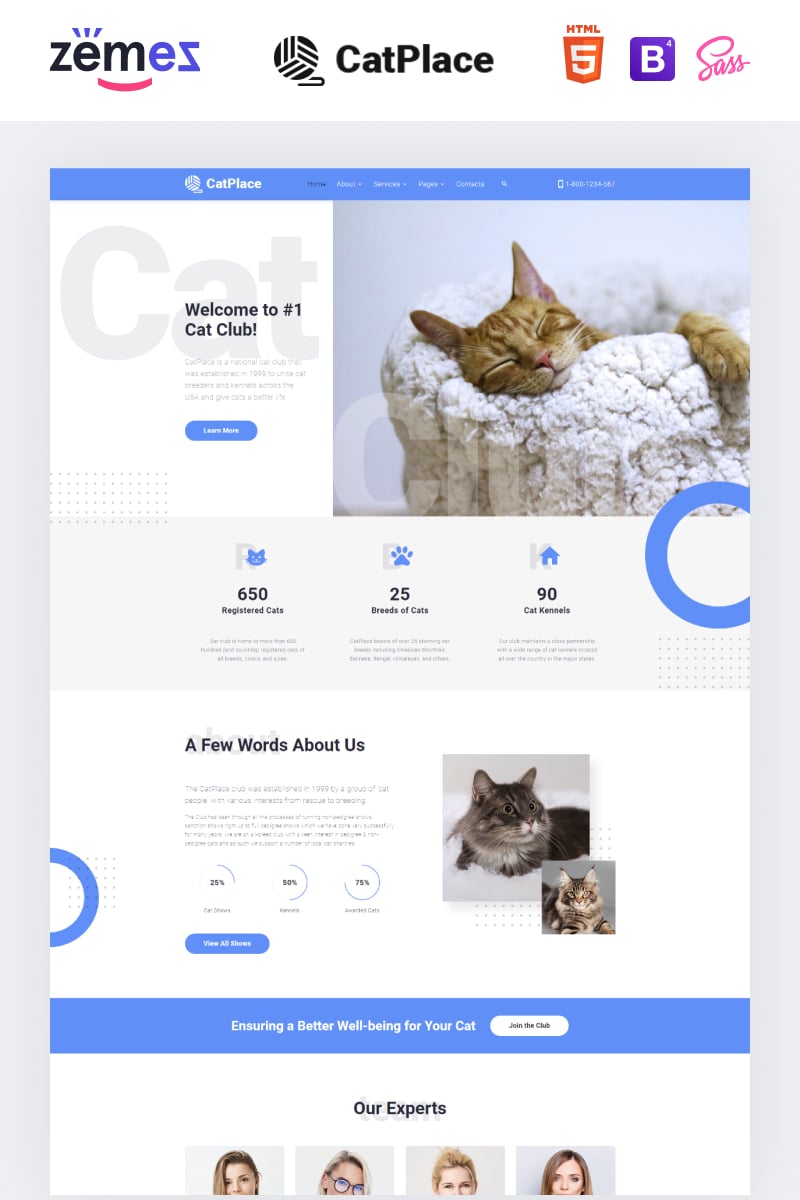 Template Siti Web Responsive #88372 "Cat Place - Animals & Pets Multipage HTML" - screenshot