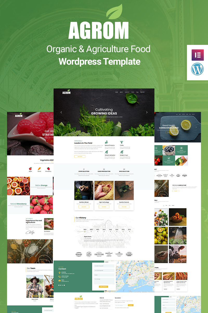 Органическая и сельскохозяйственная еда wordpress тема - Agrom - WordPress  шаблон для сайта