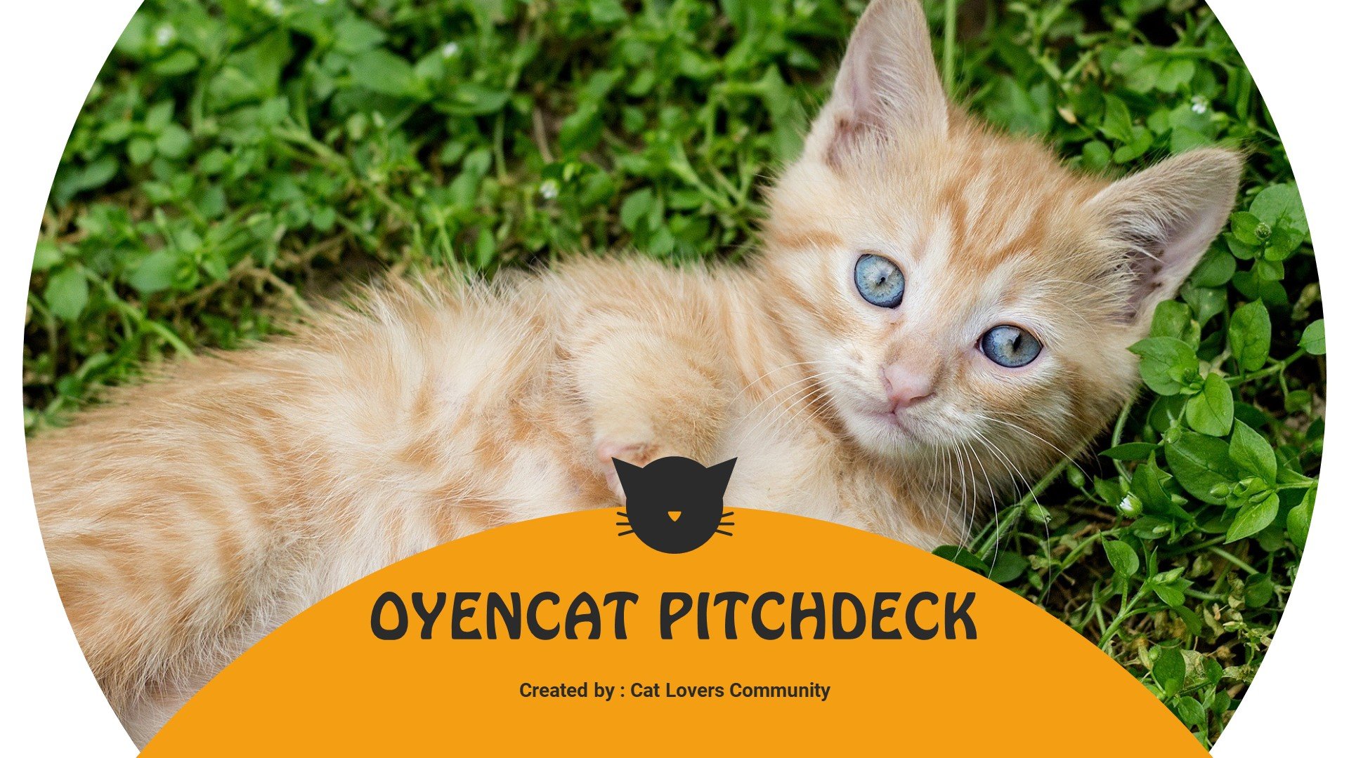 Oyencat - Creative Cat PowerPoint Template - screenshot
