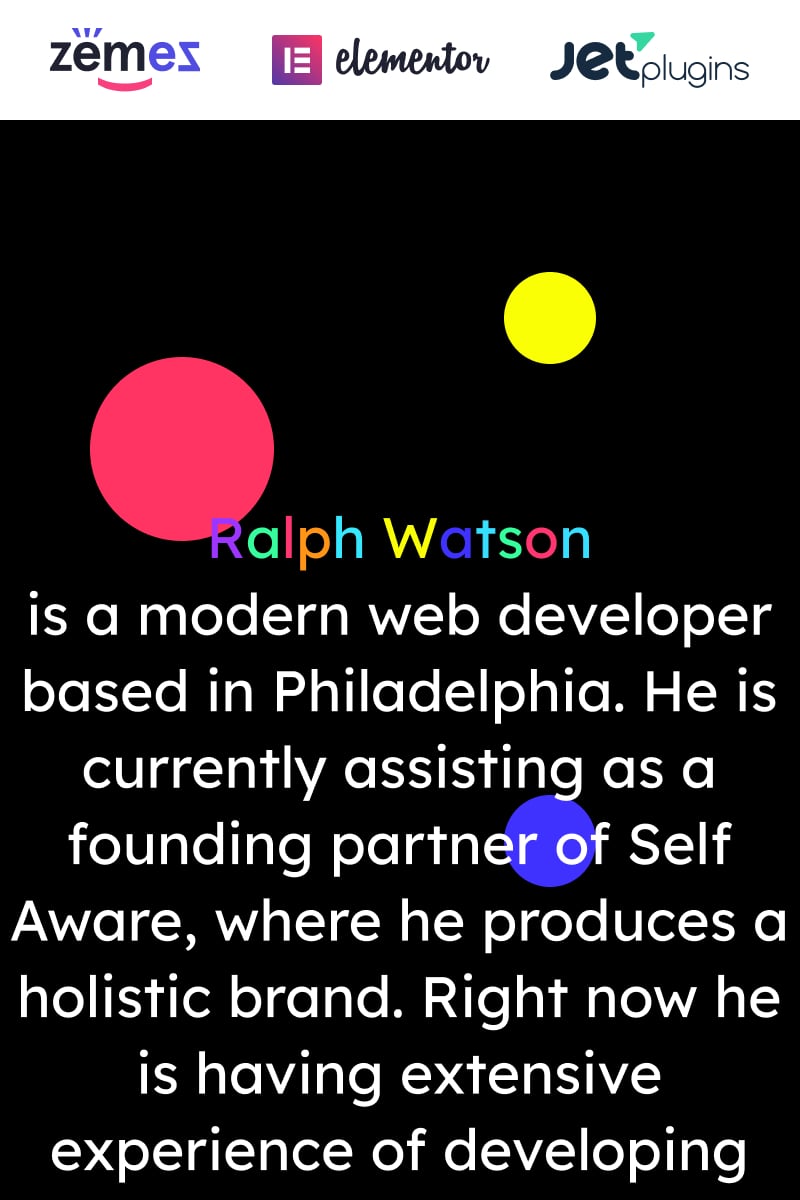 Web Portfolio - Minimalistic Web Developer Portfolio Template Tema WordPress №90669 - captura de tela