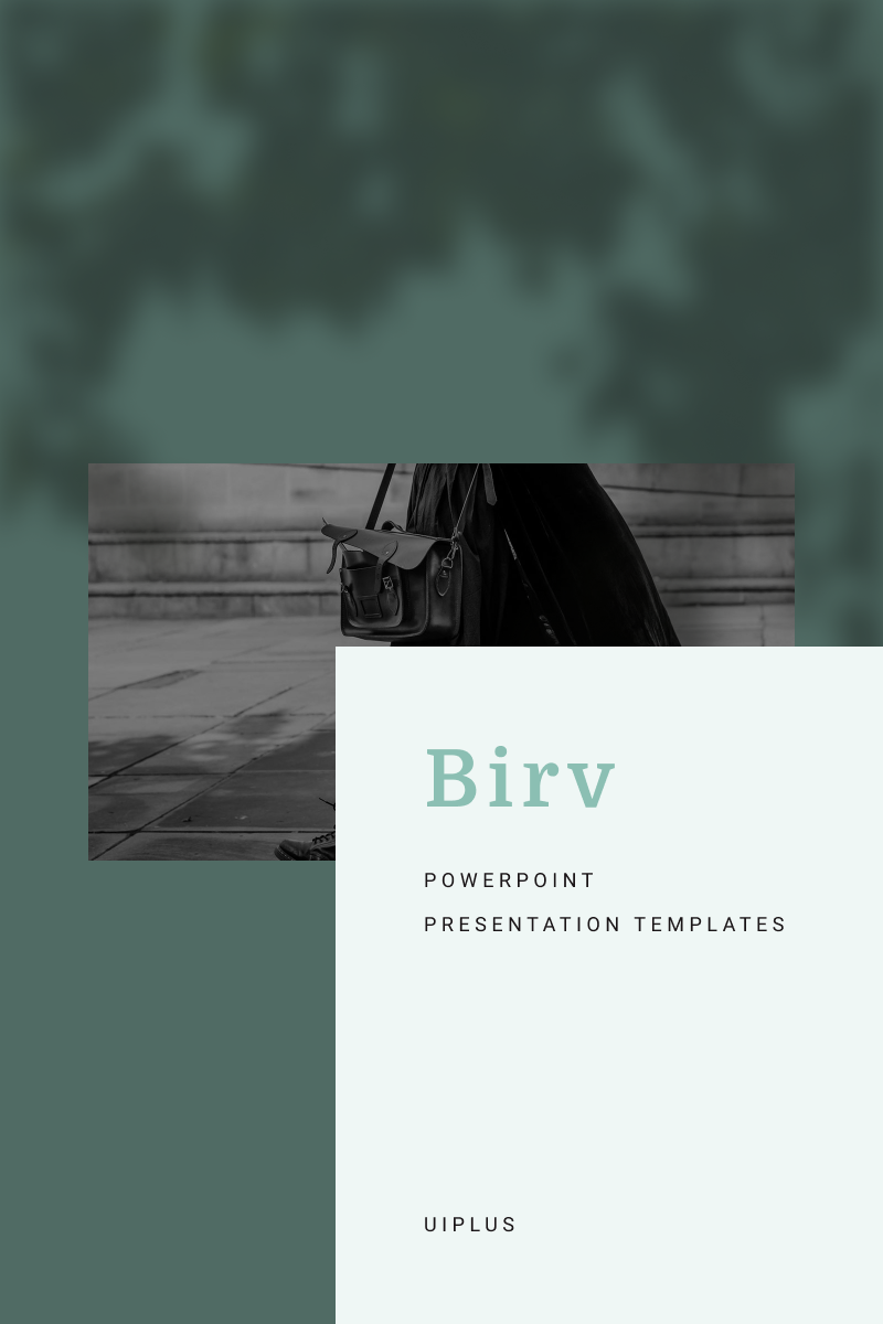 BIRV №91133 - скриншот