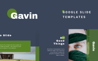GAVIN Google Slides