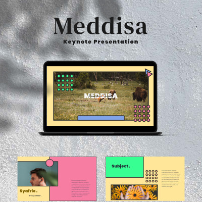 Meddisa Keynote Template