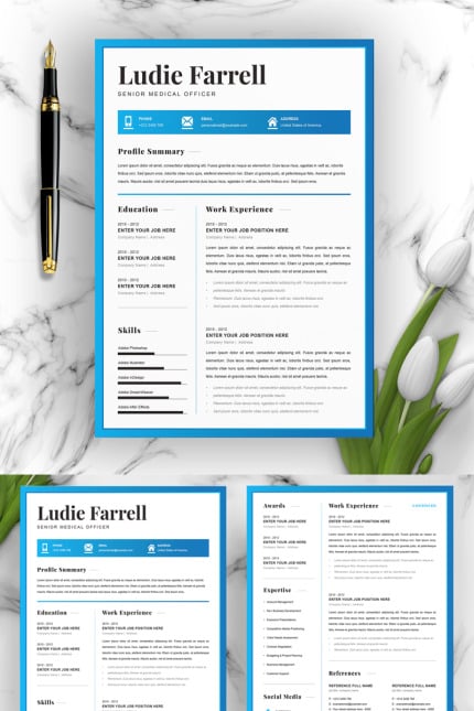 Template #93296 Page Resume Webdesign Template - Logo template Preview