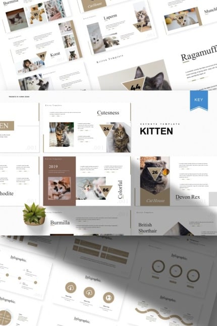 Template #93415 Cute Kitten Webdesign Template - Logo template Preview