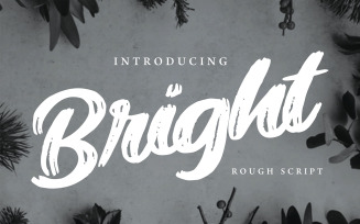 Bright | Modern Rough Cursive Font
