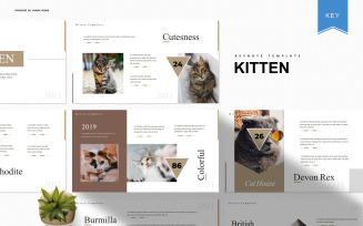 Kitten - Keynote template