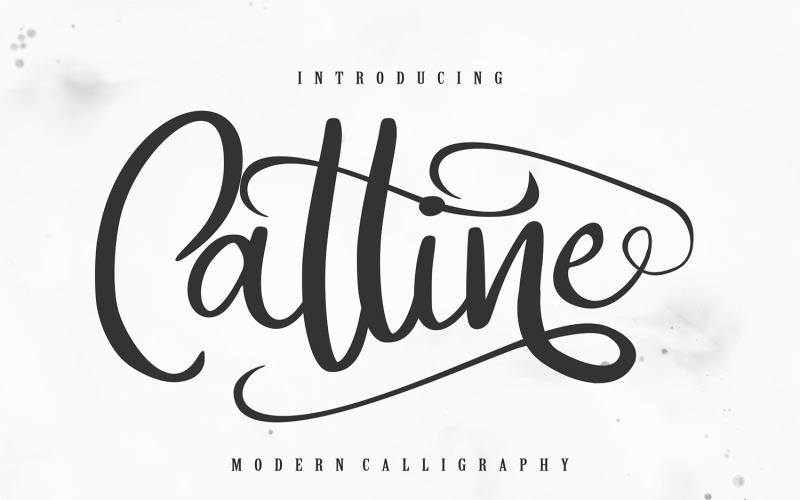 Catline | Modern Calligraphy Cursive Font