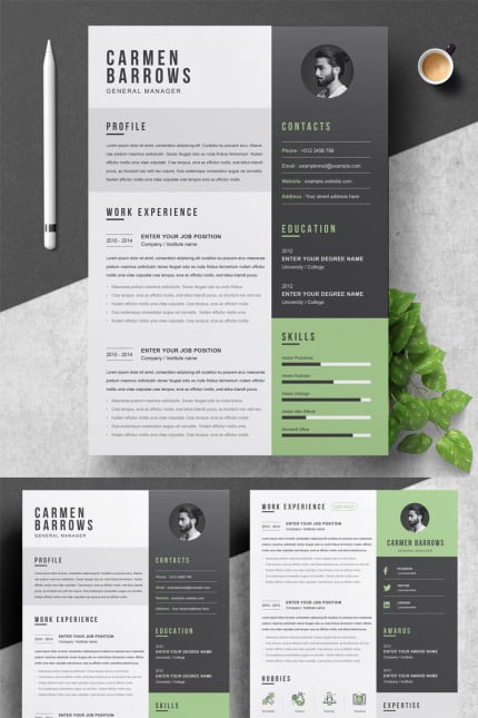 Template #94085 Page Resume Webdesign Template - Logo template Preview