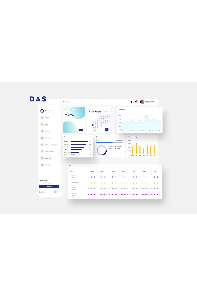 DAS Finance Dashboard Ui Light Sketch Template - screenshot