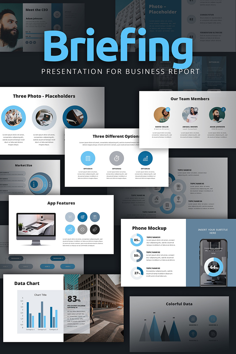 PowerPoint šablona "Briefing Presentation For Business Report" #94872 - screenshot