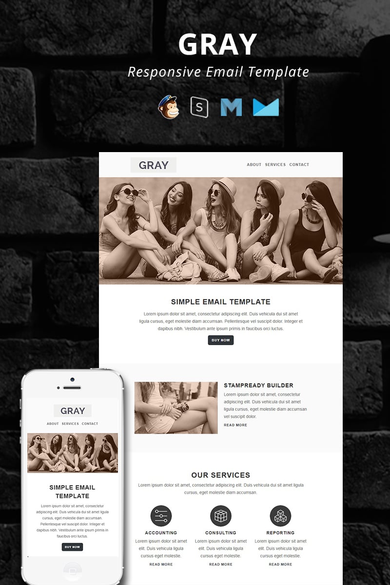 GRAY - Responsive Email №95402 - скриншот