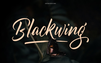 Blackwing | Custom Brush Lettering Cursive Font