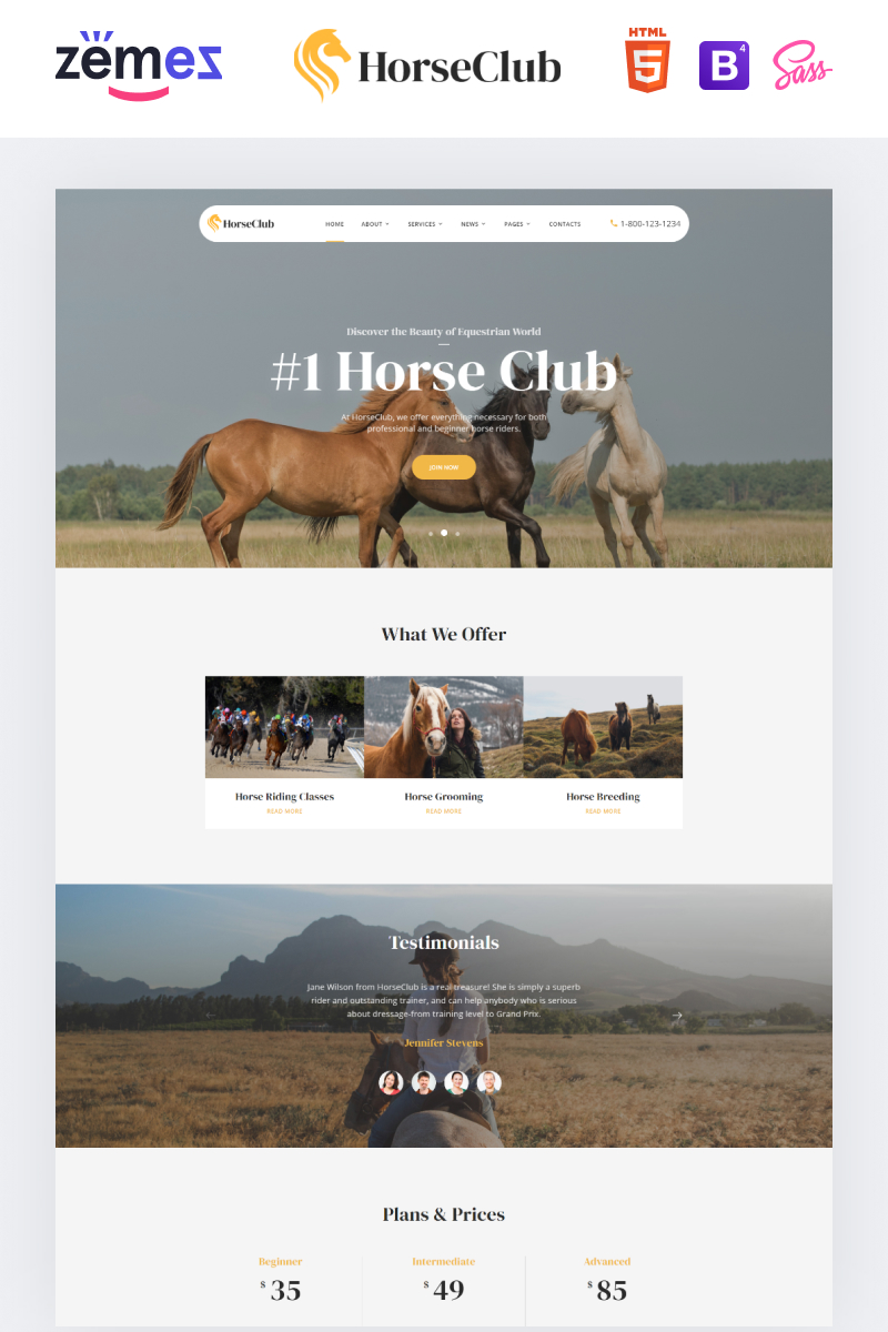 Responsivt HorseClub - Elegant Animals Multipage HTML Hemsidemall #95960 - skärmbild