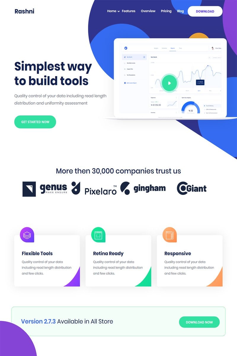 Rashni - Marketing and Software Responsive WordPress Theme