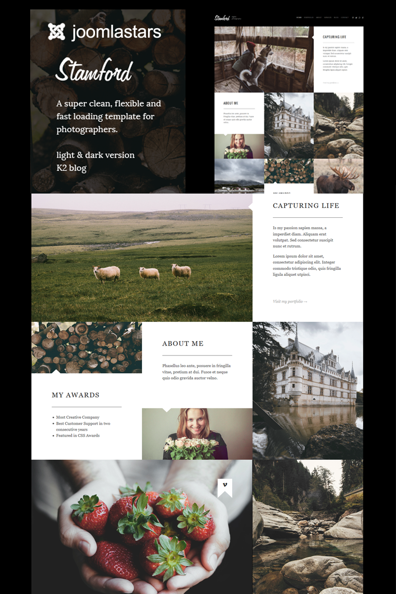 Plantilla Joomla "Stamford - Photography, Portfolio And Blog" #97863