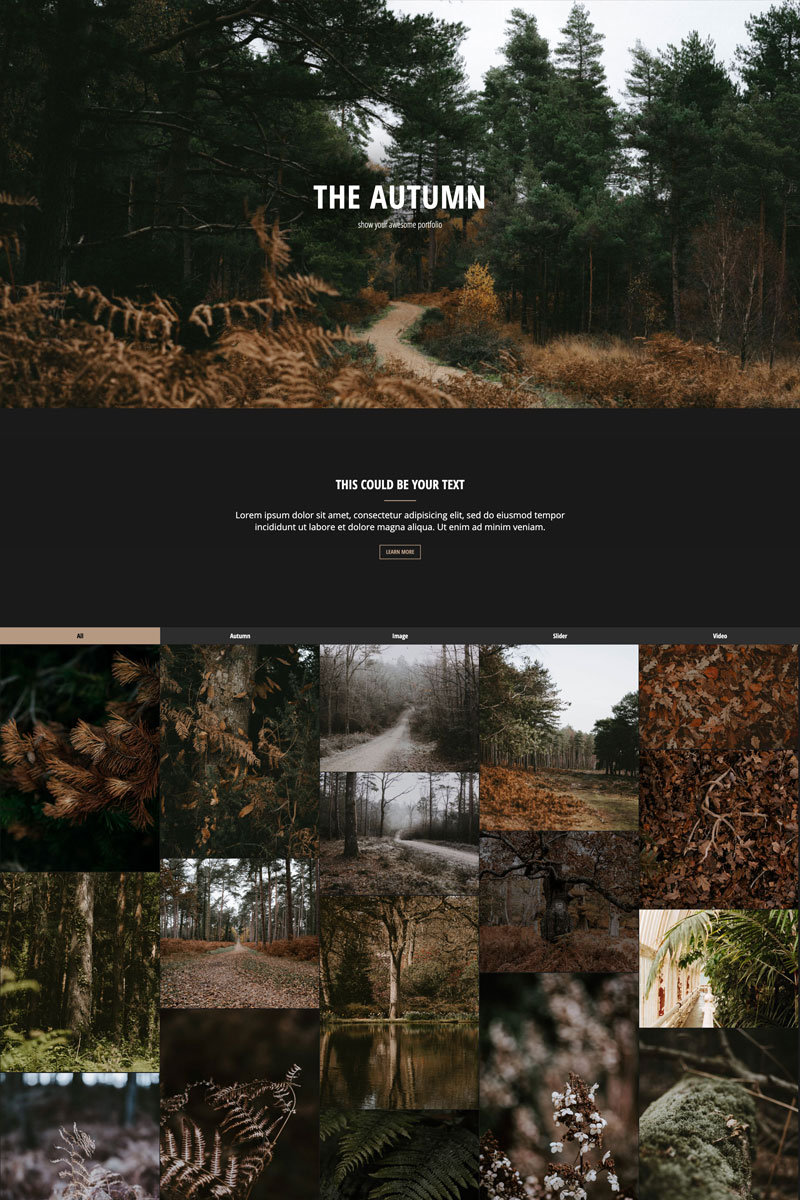 "The Autumn - Portfolio | Responsive" thème Drupal adaptatif #98473