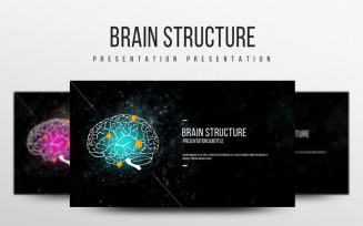Brain Structure PowerPoint template
