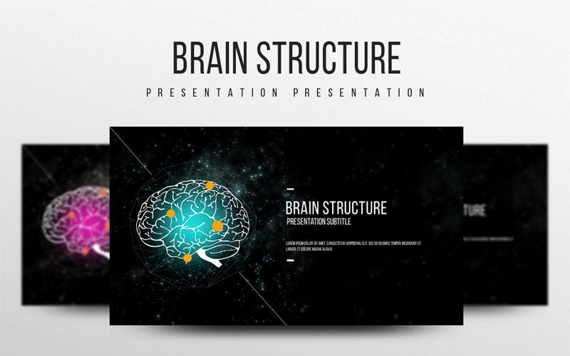 Brain Structure PowerPoint template PowerPoint Template