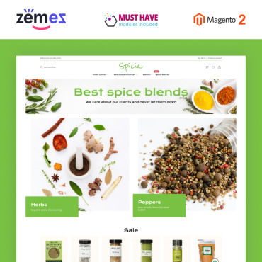Flavor Spice Magento Themes 99499