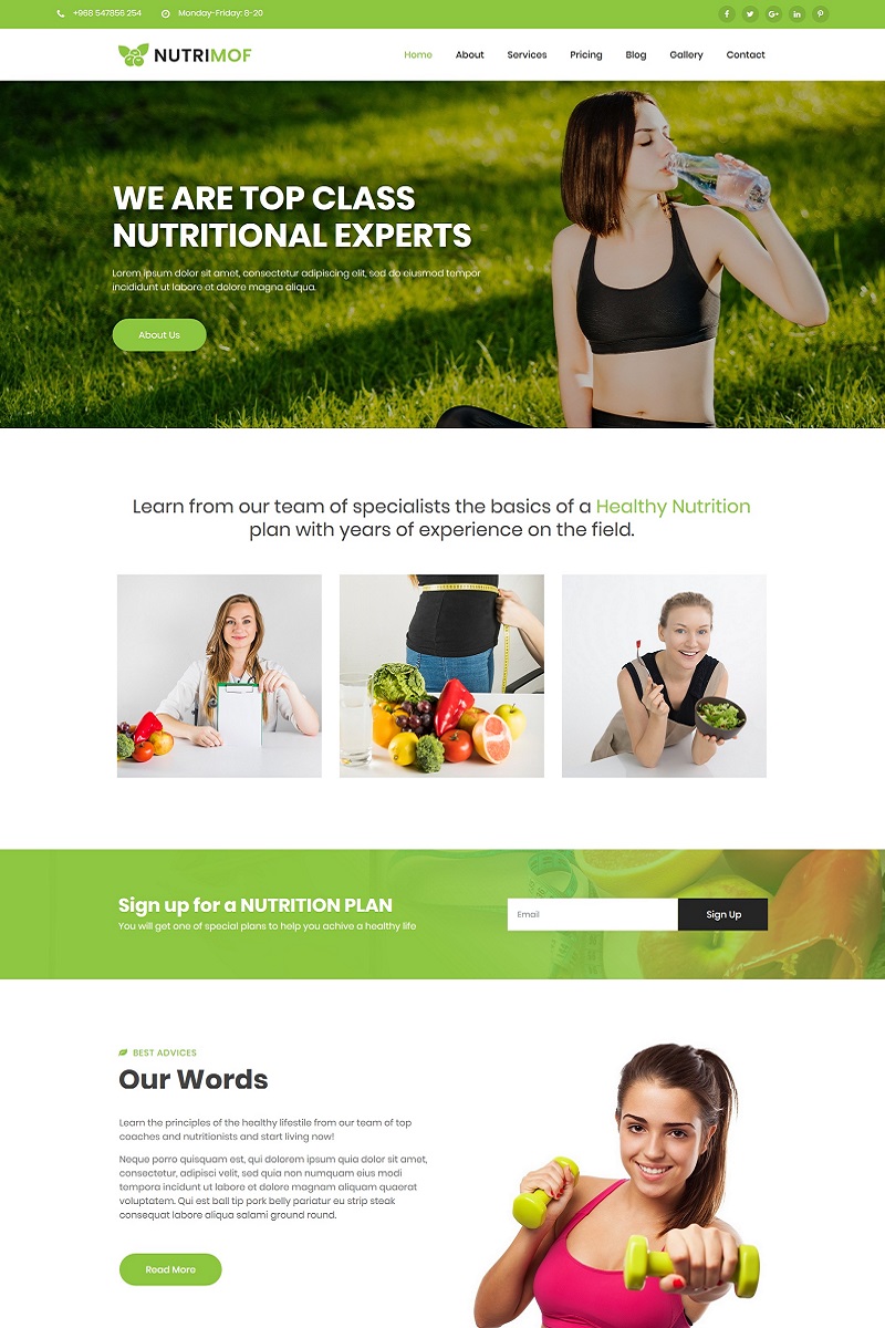 Responsywny motyw WordPress Nutrimof - Nutritional & Health #99813