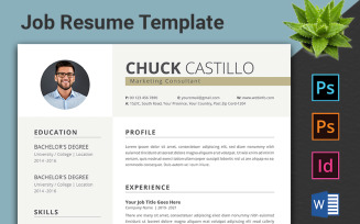 Professional CV Resume Template