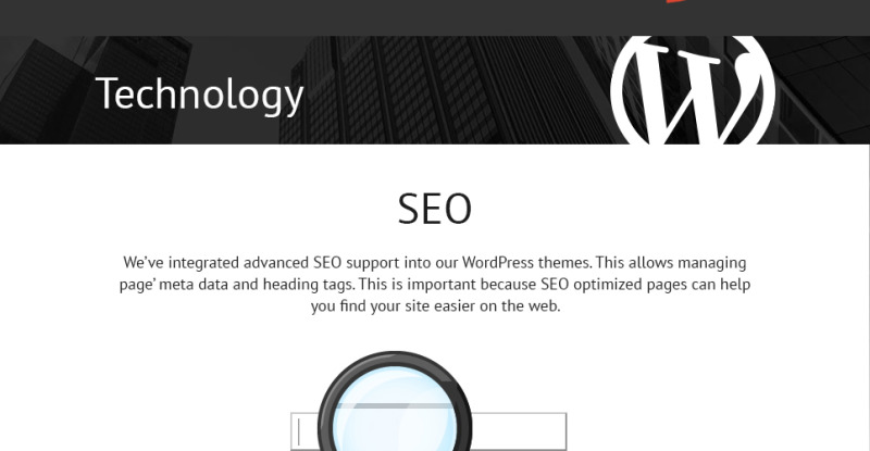 Business Services Promotion WordPress Theme - Features Image 6