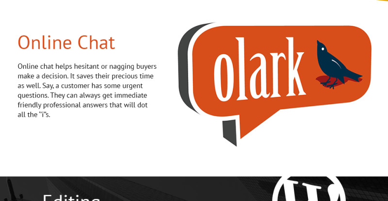 Business Services Promotion WordPress Theme - Features Image 15