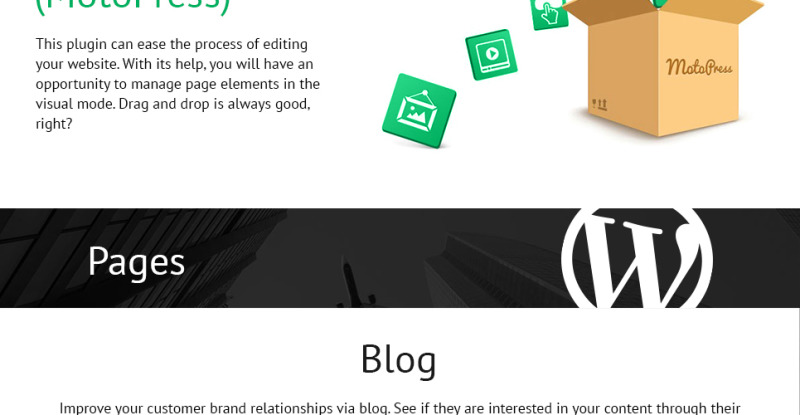 Business Services Promotion WordPress Theme - Features Image 18