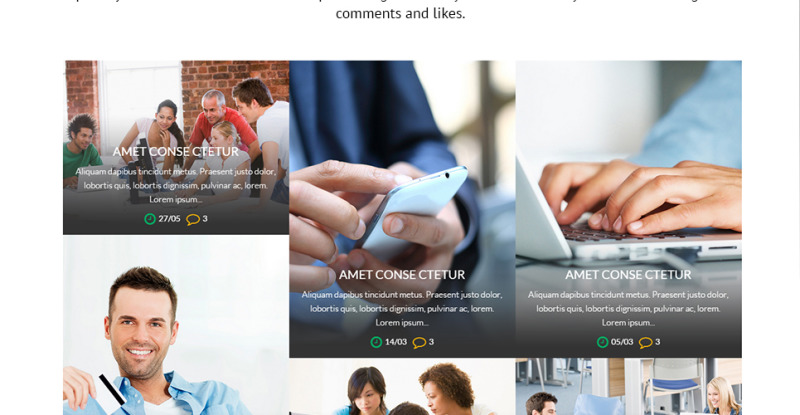 Business Services Promotion WordPress Theme - Features Image 19