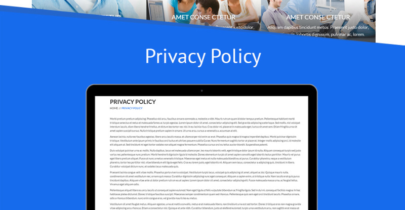 Business Services Promotion WordPress Theme - Features Image 20