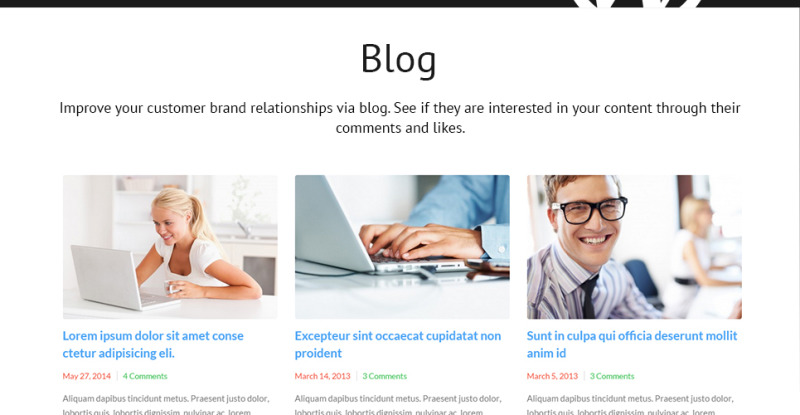Job Portal Responsive WordPress Theme - Features Image 21