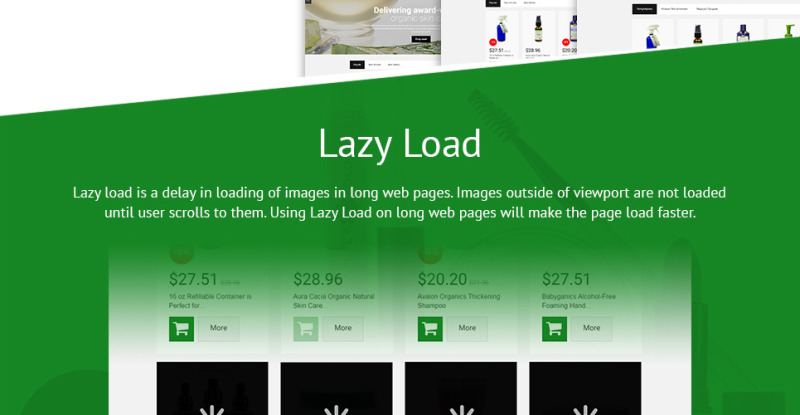 Organische cosmetica - Make-upwinkel-sjabloon PrestaShop-thema - Features Image 4