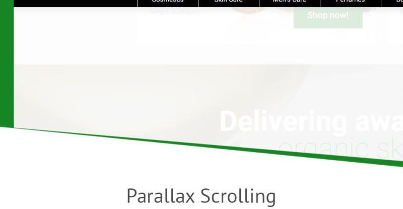 Organische cosmetica - Make-upwinkel-sjabloon PrestaShop-thema - Features Image 8