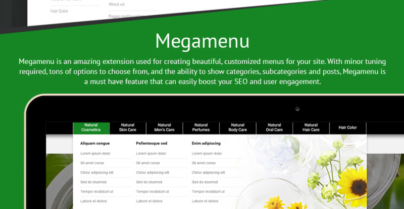 Organische cosmetica - Make-upwinkel-sjabloon PrestaShop-thema - Features Image 11