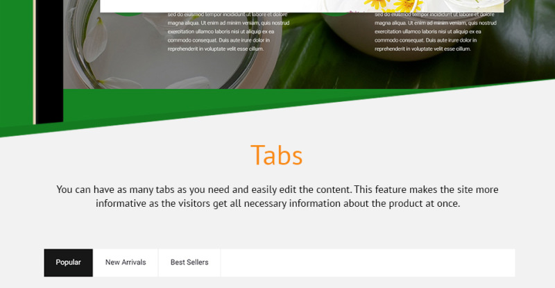 Organische cosmetica - Make-upwinkel-sjabloon PrestaShop-thema - Features Image 12